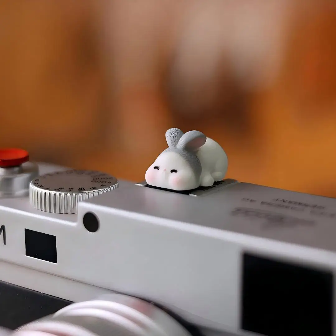 Funny Hot Shoe Cover Universal - Sony Camera Zv-E10 review and price